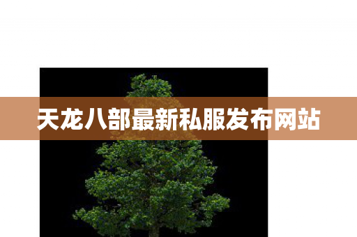 天龙八部最新私服发布网站图片