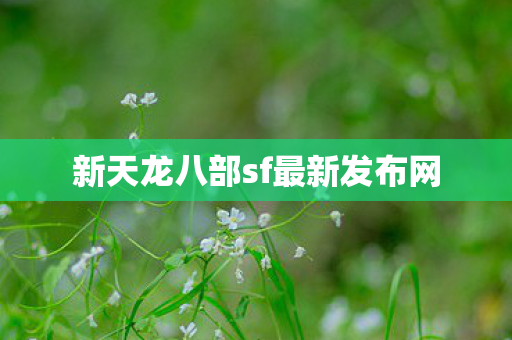 新天龙八部sf最新发布网图片
