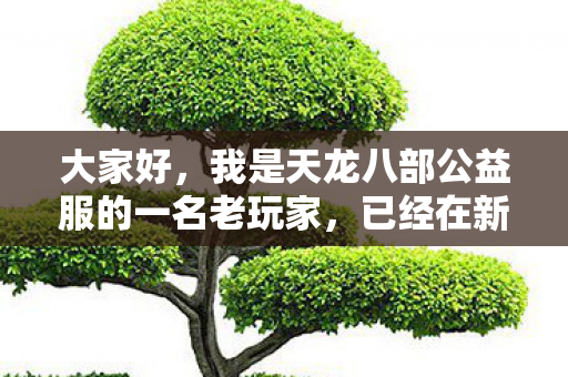 已经在新开天龙八部公益服发布网sf里摸爬滚打了一两年图片