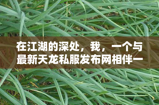总爱在这片虚拟的天地里寻找那份独属于自己的武侠梦图片