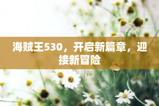 海贼王530图片