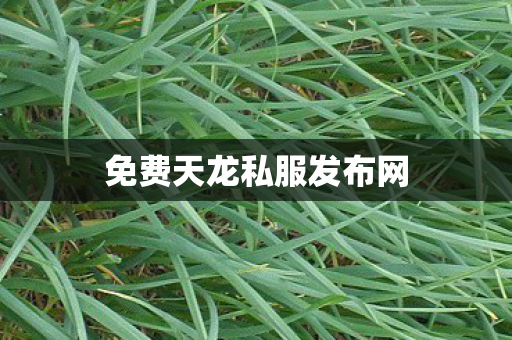 免费天龙私服发布网图片