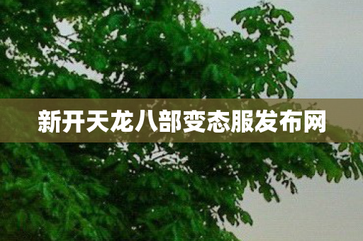新开天龙八部变态服发布网图片