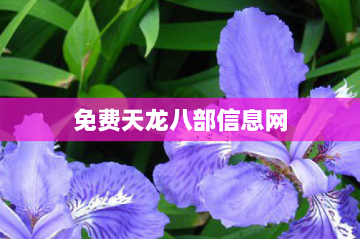 免费天龙八部信息网图片