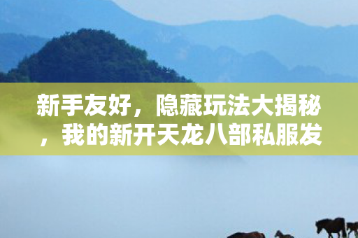 我的新开天龙八部私服发布网之旅图片