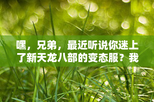 今天咱们就聊聊这个新天龙八部变态服发布网吧图片
