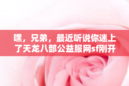 最近听说你迷上了天龙八部公益服网sf刚开一秒图片