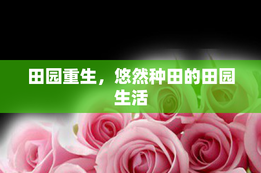 悠然种田的田园生活图片