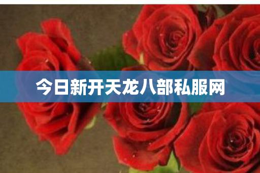 今日新开天龙八部私服网图片