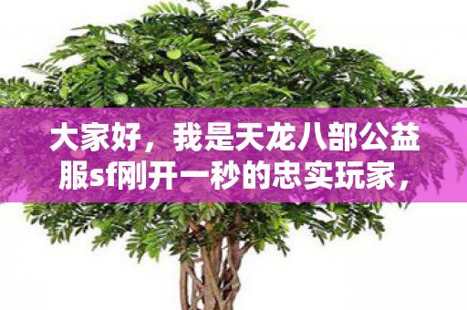 今天想和大家分享一些关于这个游戏的真实经历和感受图片