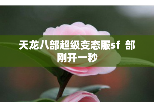 天龙八部超级变态服sf  部刚开一秒图片