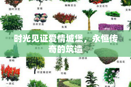 时光见证爱情城堡图片