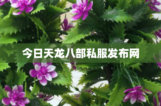 今日天龙八部私服发布网图片