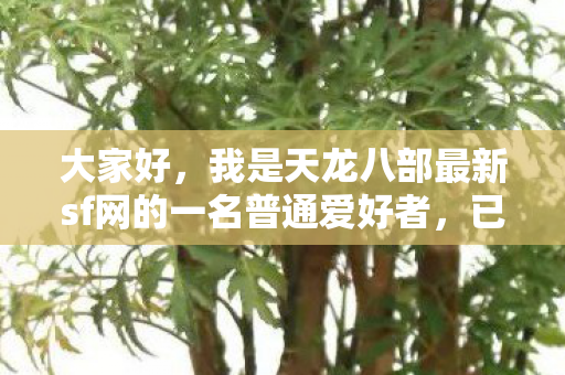我是天龙八部最新sf网的一名普通爱好者图片