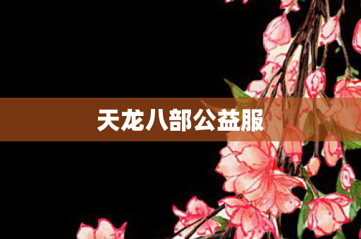 天龙八部公益服图片