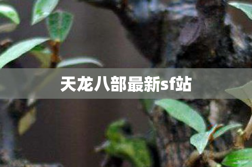 天龙八部最新sf站图片