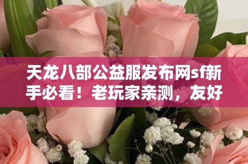 天龙八部公益服发布网sf新手必看图片