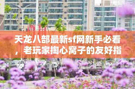 天龙八部最新sf网新手必看图片