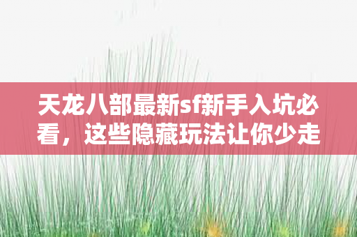 天龙八部最新sf新手入坑必看图片