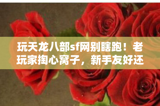 玩天龙八部sf网别瞎跑图片
