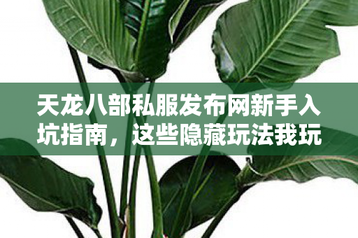天龙八部私服发布网新手入坑指南图片