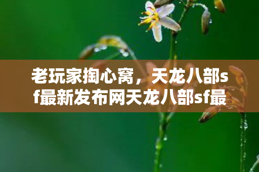 天龙八部sf最新发布网天龙八部sf最新发布网新手友好还藏着这些玩法图片