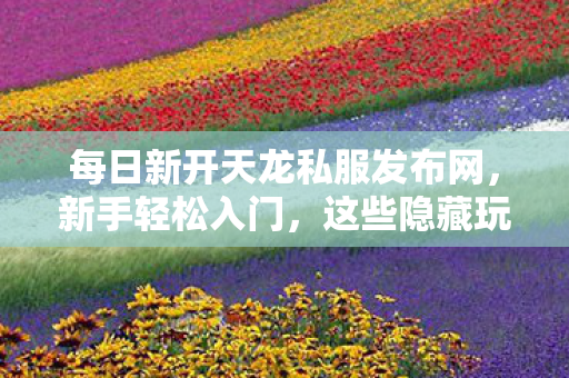 每日新开天龙私服发布网图片