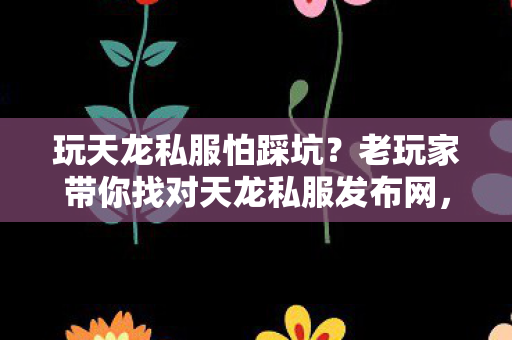 老玩家带你找对天龙私服发布网图片