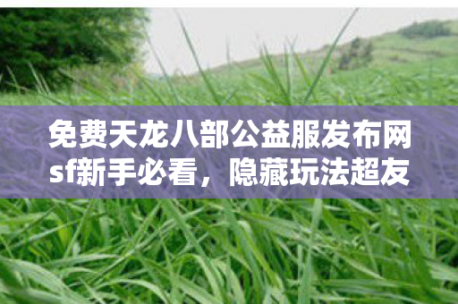 免费天龙八部公益服发布网sf新手必看图片