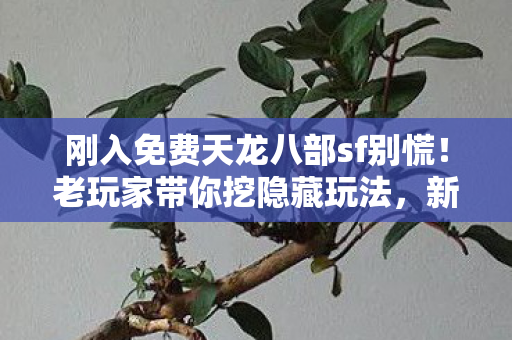 刚入免费天龙八部sf别慌图片