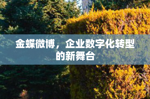 金蝶微博,企业数字化转型的新舞台 金蝶微博,企业数字化转型的新舞台