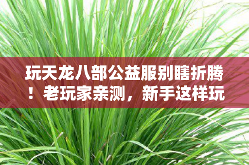新手这样玩轻松解锁隐藏福利图片