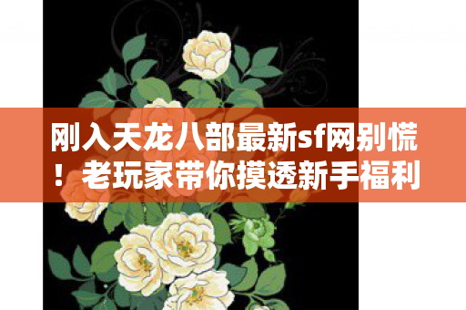 老玩家带你摸透新手福利和隐藏玩法图片