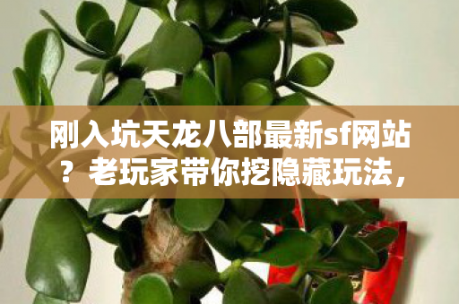 刚入坑天龙八部最新sf网站图片