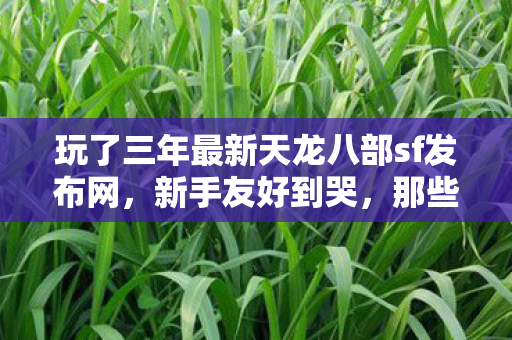 那些藏在角落的惊喜玩法我偷偷告诉你图片