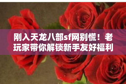 老玩家带你解锁新手友好福利和超爽隐藏玩法图片