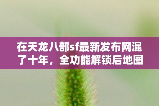 在天龙八部sf最新发布网混了十年图片
