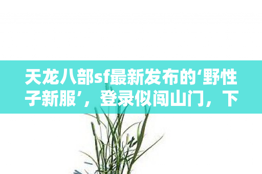 下载总耍小脾气的鲜活踩坑唠嗑记图片