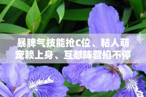 天龙八部sf最新江湖趣事儿一箩筐图片