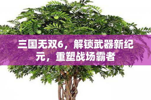 三国无双6，解锁武器新纪元，重塑战场霸者