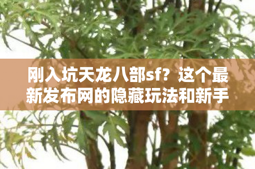 这个最新发布网的隐藏玩法和新手福利能让你少走半年弯路图片