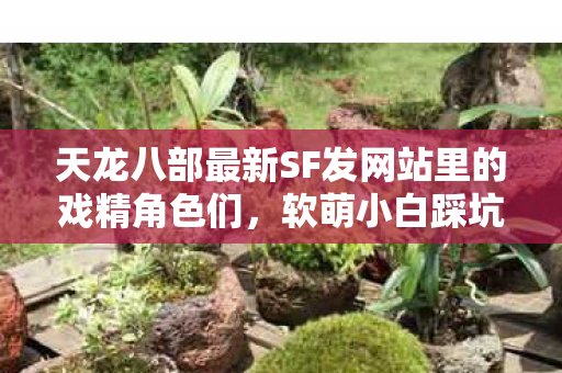 天龙八部最新SF发网站里的戏精角色们图片