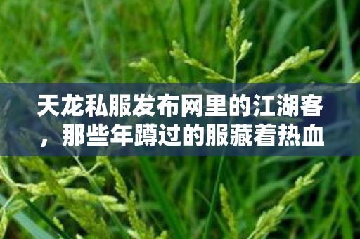 天龙私服发布网里的江湖客图片