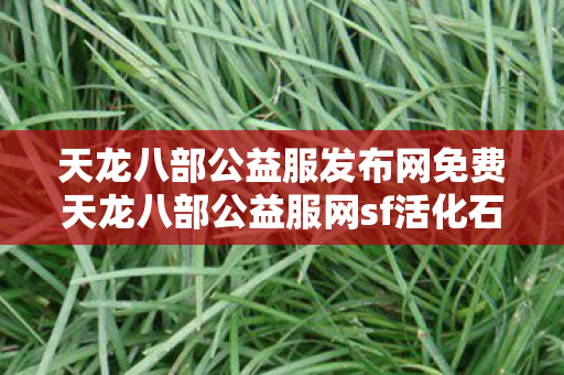 天龙八部公益服发布网免费天龙八部公益服网sf活化石图片