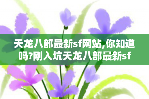 新手友好还藏着超多惊喜玩法图片