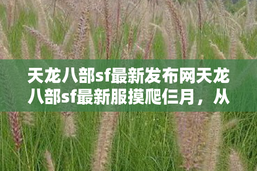 天龙八部sf最新发布网天龙八部sf最新服摸爬仨月图片