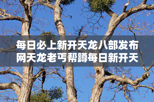 每日必上新开天龙八部发布网天龙老丐帮蹲每日新开天龙私服发布网图片