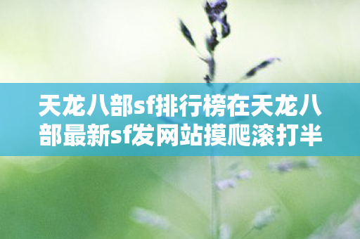 天龙八部sf排行榜在天龙八部最新sf发网站摸爬滚打半载图片