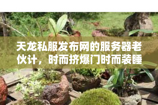 天龙私服发布网的服务器老伙计图片
