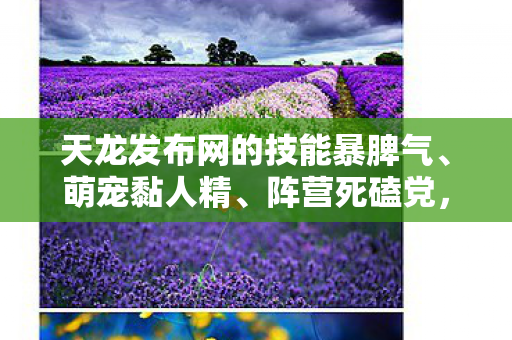 天龙发布网的技能暴脾气图片